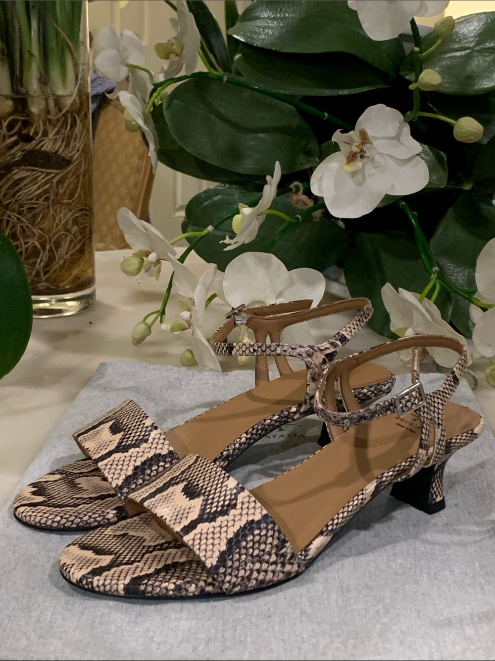 Aquatalia Kristena Heeled Sandals Blush Snake Print Size 9